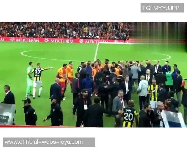 德国足球创意摄影展现激情与艺术的完美结合之旅